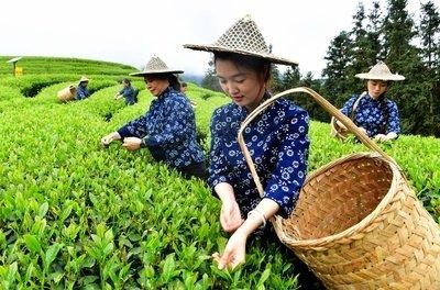 福建七大避寒景点